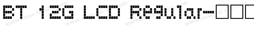 BT 12G LCD Regular字体转换
